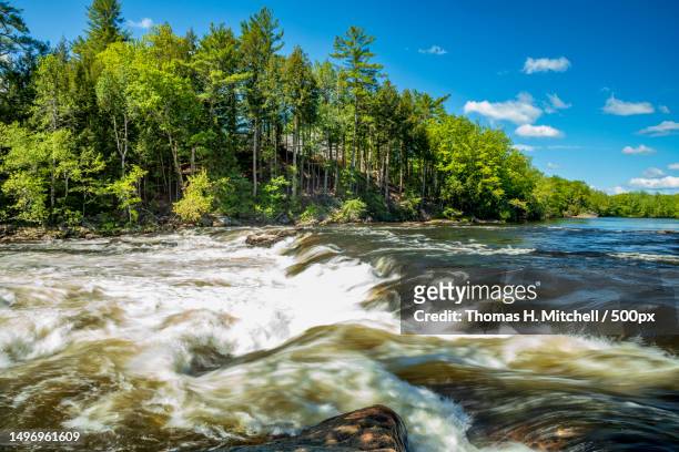 scenic view of river flowing in forest against sky,steep falls,maine,united states,usa - brook mitchell stock pictures, royalty-free photos & images
