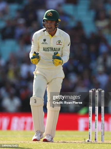 Alex Carey of Australia celebrates the wicket of Ravindra Jadeja of India during day two of the ICC World Test Championship Final between Australia...