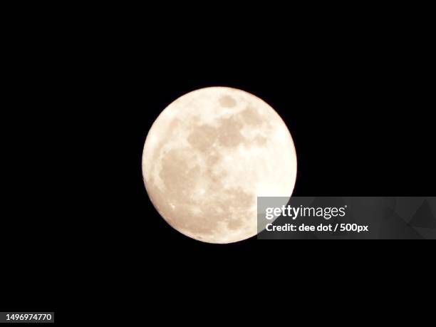 full moon - soy luna fotografías e imágenes de stock