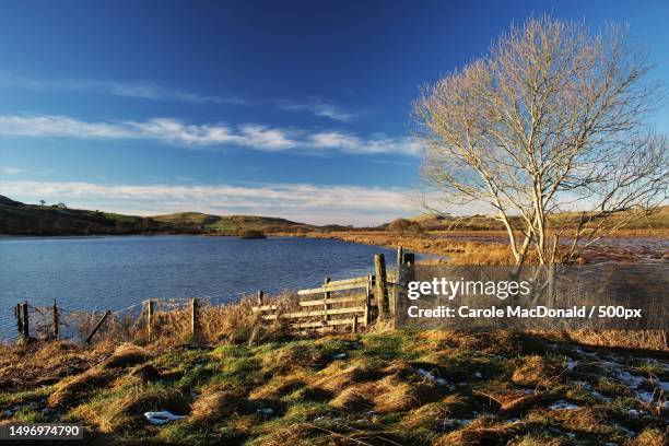 scenic view of lake against sky,ayr,united kingdom,uk - ayr stock-fotos und bilder