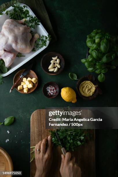 high angle view of woman preparing food on table,united arab emirates - maria garcia stock pictures, royalty-free photos & images
