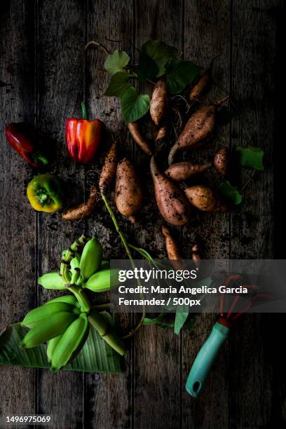 directly above shot of vegetables on table,united arab emirates - maria garcia stock pictures, royalty-free photos & images