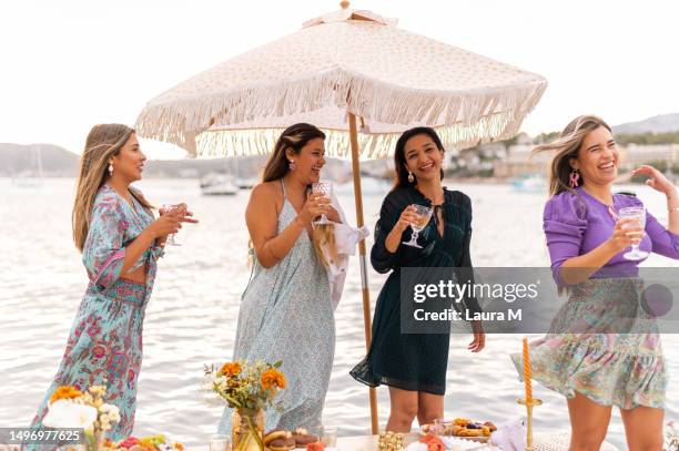 women having fun during a picnic next to the sea - 長全身裙 個照片及圖片檔