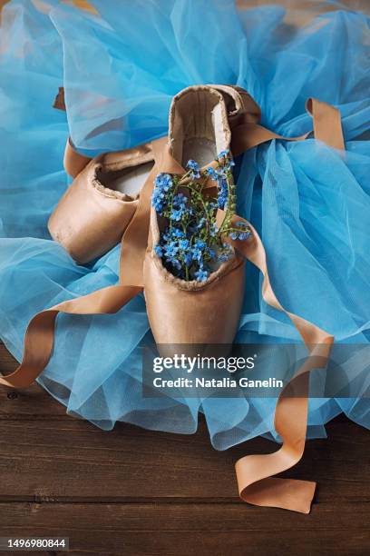 dance with forget-me-nots - ribbon dance stock-fotos und bilder