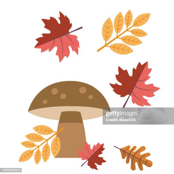 mushroom fall & autumn element - toadstool stock illustrations