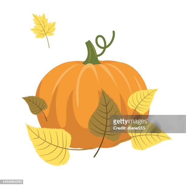 illustrazioni stock, clip art, cartoni animati e icone di tendenza di elemento pumpkin autunno & autunno - zucca