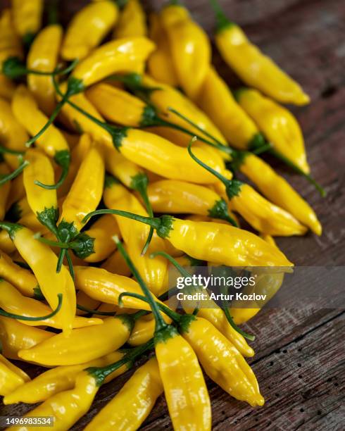 lemon drop yellow pepper. bunch of ripe yellow peppers. hot long peruvian pepper with lemon flavor. wooden background. close-up. top view. soft focus - piment jaune photos et images de collection