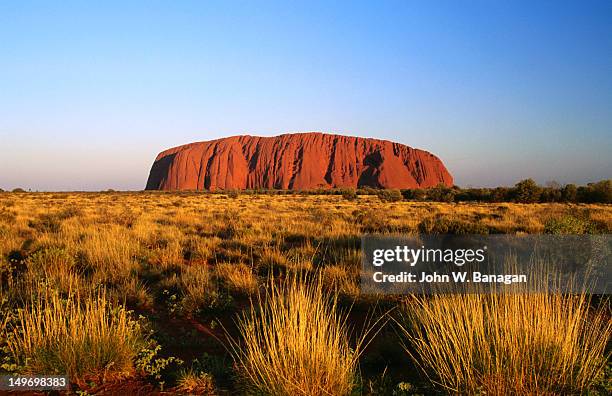 uluru (ayers rock) with desert vegetation. - uluru rock stock pictures, royalty-free photos & images