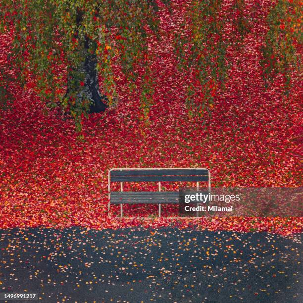 autumn road and empty wooden bench - turku stock-fotos und bilder