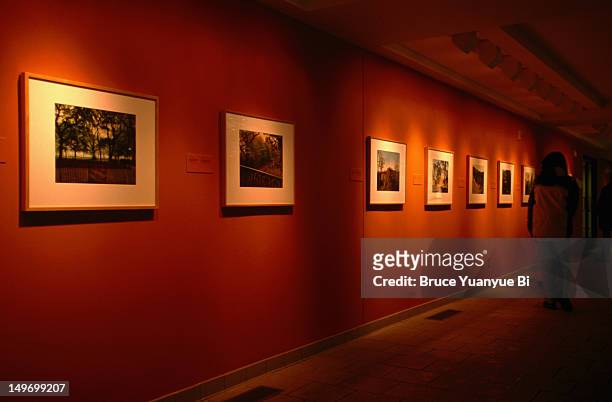visitors in canadian museum of contemporary photography. - ottawa museum stock pictures, royalty-free photos & images