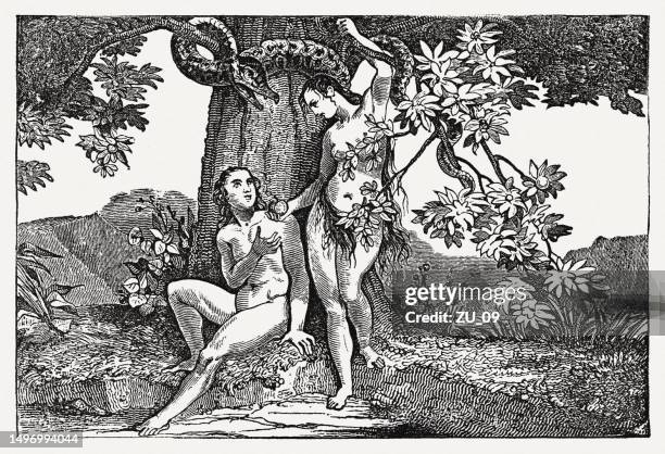 illustrations, cliparts, dessins animés et icônes de péché des premiers (genèse 3), gravure sur bois, publiée en 1835 - adam and eve in garden