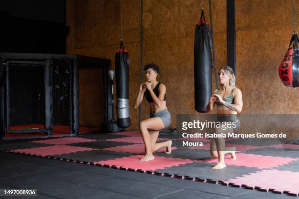 martial arts concept - kickboxing stock pictures, royalty-free photos & images