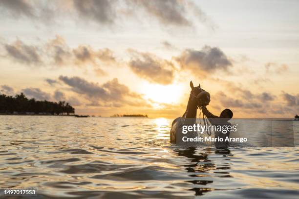 photography of man with his horse in the sea of ​​san andres receiving the sunrise - san andres mountains stock pictures, royalty-free photos & images