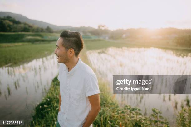 man standing in front of rice paddies, japan - one mid adult man only stock pictures, royalty-free photos & images