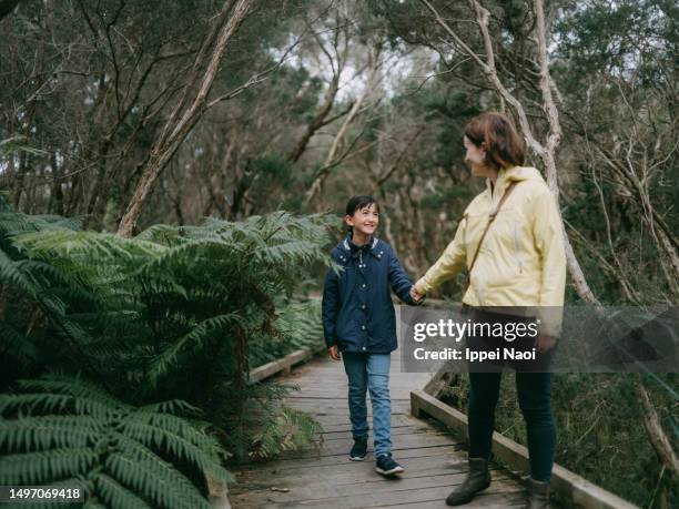 young girl hiking through bush with her mother, australia - boardwalk australia stock pictures, royalty-free photos & images