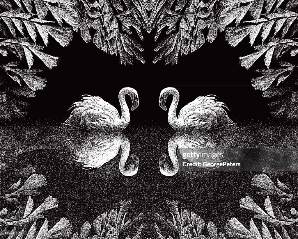 Two Flamingos
