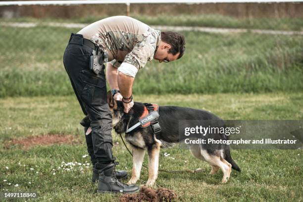 police dog showing his skills - police training stock pictures, royalty-free photos & images