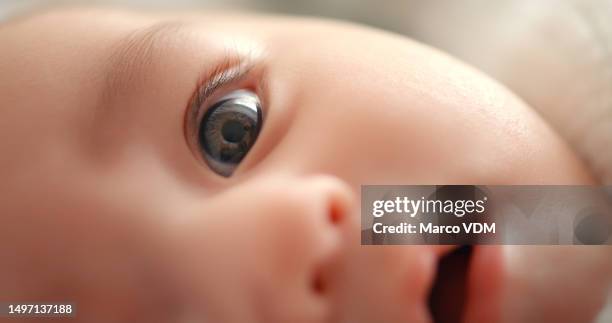 baby, gesicht und nahaufnahme des neugeborenen, auge und sehvermögen mit gesundheit, entwicklung und wachstum in der frühen kindheit. sehkraft, pupille und iris mit neugierigem säugling, gesundem kind und wachstum mit kinderbetreuung - iris family stock-fotos und bilder