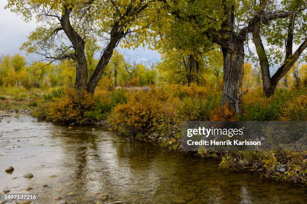 Small Stream Too 10,196 Small Stream Stock Photos, High-Res Pictures, and Images - Getty ...