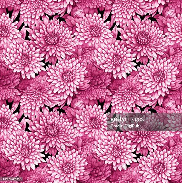 mum flower seamless quartet continuous pattern 2*2 - chrysanthemum illustration stock pictures, royalty-free photos & images