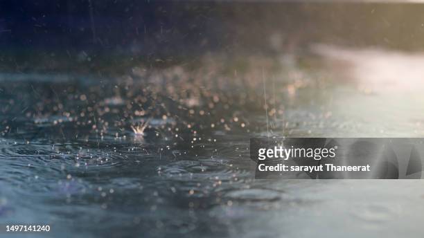 rain drop on wet asphalt road black and white style
abstract background, rain drops on the water
heavy raining make many small splash crown from water droplets drop down to the concrete floor in blue tone color scene - chuva imagens e fotografias de stock