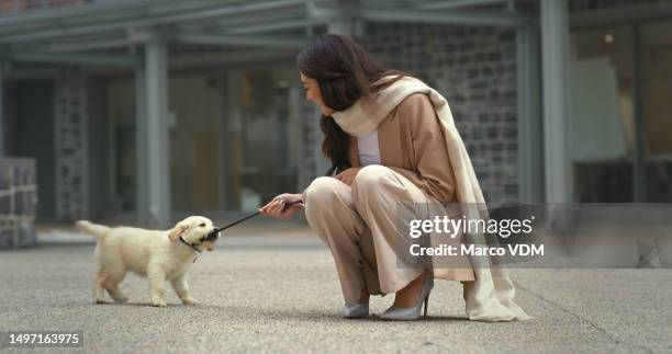 guinzaglio e donna giocosa con il suo cucciolo in città a piedi durante un viaggio di fine settimana. amore, cura e persona femminile che gioca all'aperto con il suo simpatico cane, animale domestico o animale in una strada urbana della città. - pet foto e immagini stock