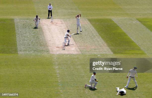 David Warner of Australia drops Ajinkya Rahane of India off the bowling of Pat Cummins of Australia during day three of the ICC World Test...