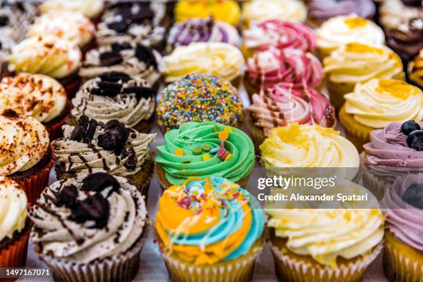 multi-colored vibrant cupcakes for sale at the bakery - close up of chocolates for sale fotografías e imágenes de stock