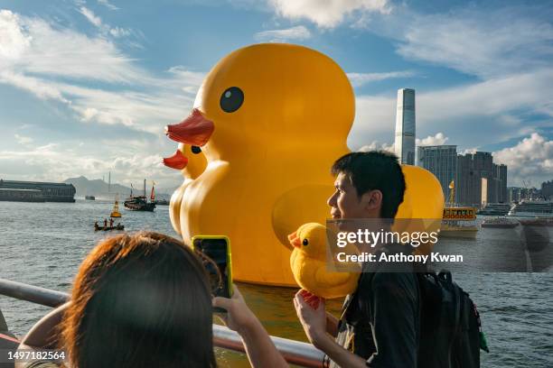 Giant inflatable rubber duck sculptures are seen in Victoria Harbor on June 09, 2023 in Hong Kong, China. The 18-metre-tall inflatable sculptures are...