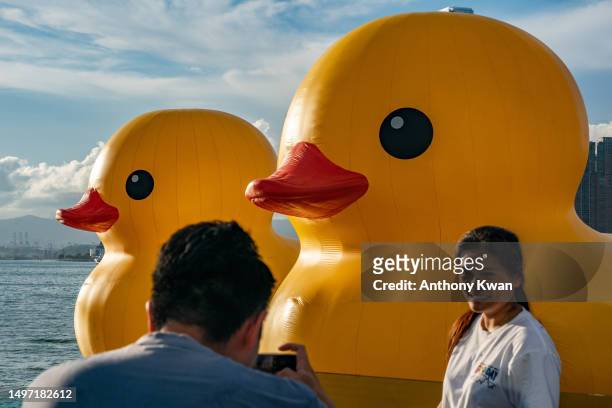 Giant inflatable rubber duck sculptures are seen in Victoria Harbor on June 09, 2023 in Hong Kong, China. The 18-metre-tall inflatable sculptures are...