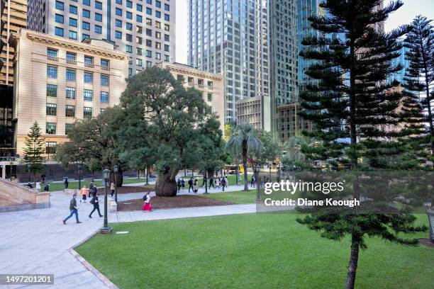 people walk through the park in the cbd - brisbane street stock pictures, royalty-free photos & images