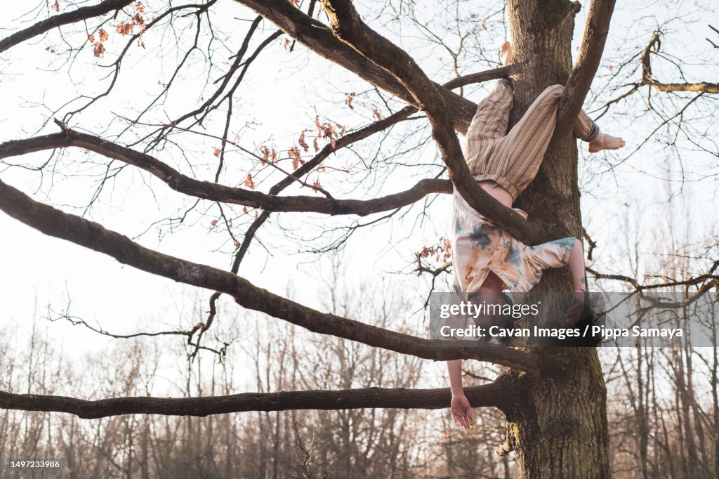 Asian dancer hangs upside down from tree branches in nature