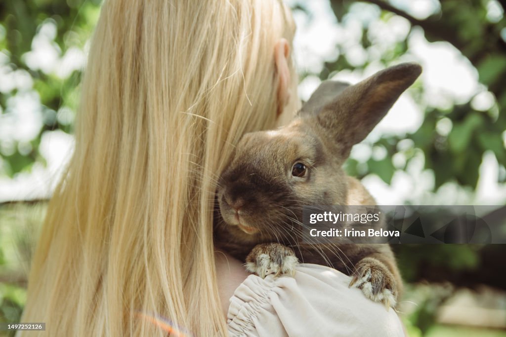 Owner girl walks with her home dwarf decorative rabbit in the park in summer day. The concept of loving and caring for pets.