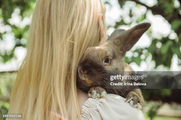 owner girl walks with her home dwarf decorative rabbit in the park in summer day. the concept of loving and caring for pets. - rabbit game meat stock pictures, royalty-free photos & images