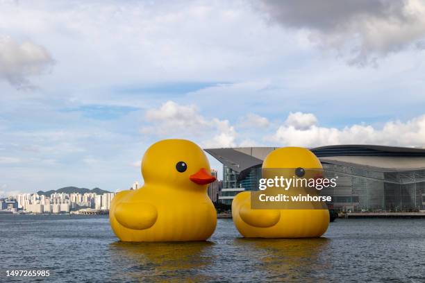 inflatable rubber ducks in hong kong - wan chai stock pictures, royalty-free photos & images