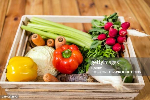 selection of fresh homegrown produce vegetables from solidarity agriculture - homegrown produce ストックフォトと画像