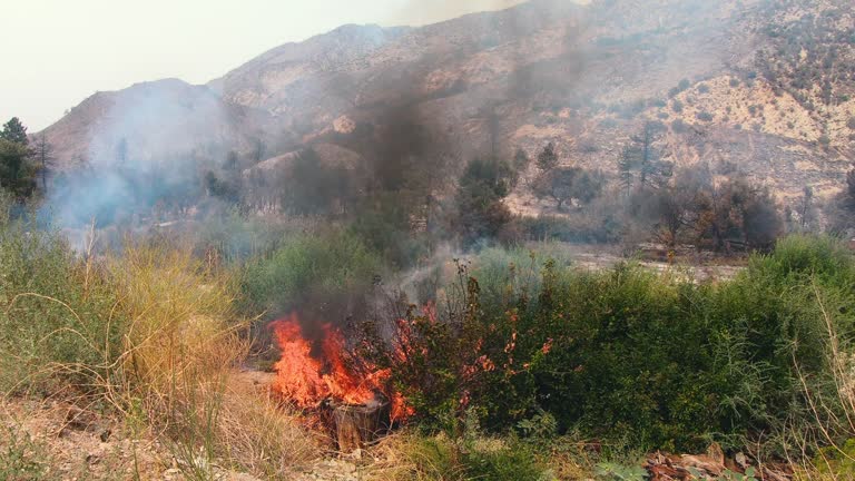 Complex Fire 87 August Complex Fire Stock Videos, Footage, & 4K Video Clips - Getty ...