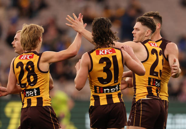 Jacob Koschitzke of the Hawks celebrates after scoring a goal during the round 13 AFL match between Hawthorn Hawks and Brisbane Lions at Melbourne...