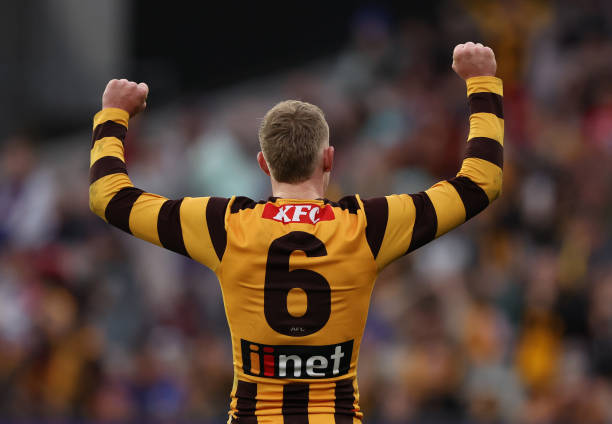 James Sicily of the Hawks celebrates on the siren after the Hawks defeated the Lions during the round 13 AFL match between Hawthorn Hawks and...