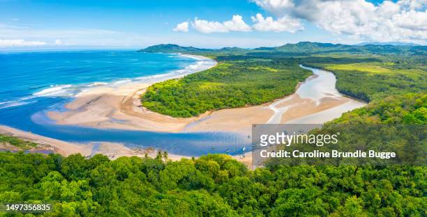 praia do tamarindo e estuário, guanacaste, costa rica - playa tamarindo - fotografias e filmes do acervo