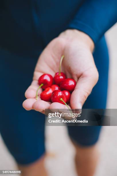 personal perspective of hand holding wild cherries - loire stock pictures, royalty-free photos & images
