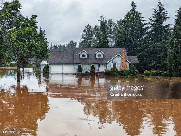 house exterior flood disaster - flood insurance stock pictures, royalty-free photos & images