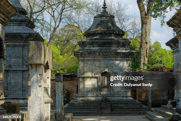 pashupatinath temple nepal. - pashupatinath temple stock pictures, royalty-free photos & images