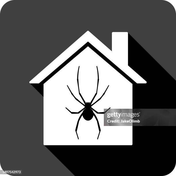 house spider icon silhouette 1 - black widow stock illustrations