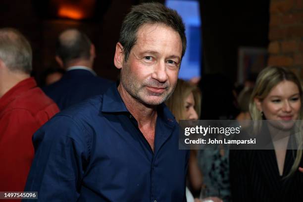 David Duchovny attends "Bucky F*cking Dent" Tribeca Festival after party at Tribeca Grill on June 10, 2023 in New York City.