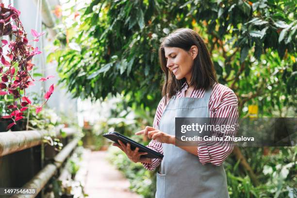 young smiling brunette woman in apron with digital tablet in hands working in greenhouse - stem cells human stock-fotos und bilder