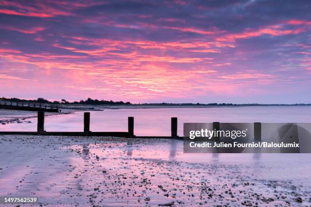 sunrise in noirmoutier, france. - vendée photos et images de collection