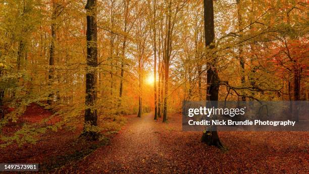 September Fallscape 70,490 September Landscape Stock Photos, High-Res Pictures, and Images ...