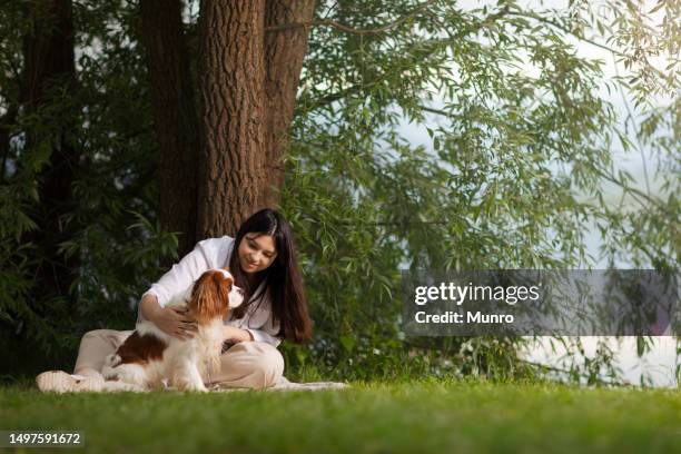 junge frau, die sich mit ihrem hund am seeufer entspannt - cavalier king charles spaniel stock-fotos und bilder