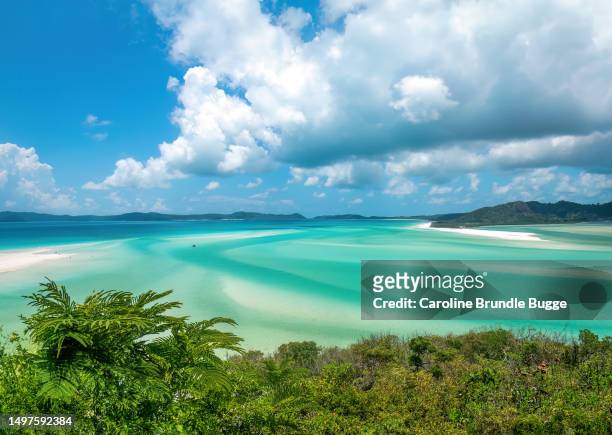 whitsunday islands, queensland, australia - brisbane beach stock pictures, royalty-free photos & images